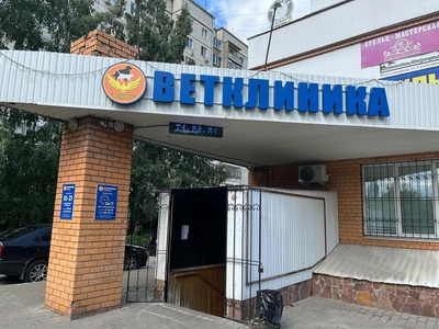 Феникс