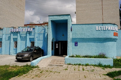 Феникс