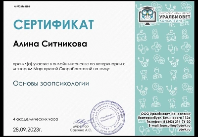 Сертификат