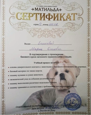 Сертификат