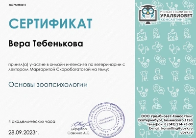Сертификат