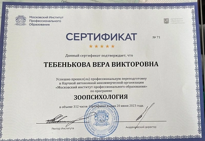 Сертификат