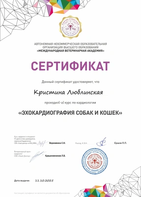 Сертификат