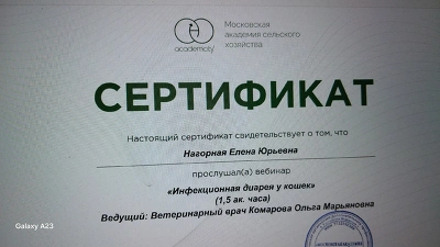 Сертификат