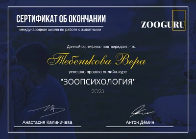 Сертификат