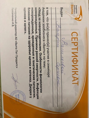 Сертификат
