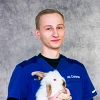 Ветеринар
