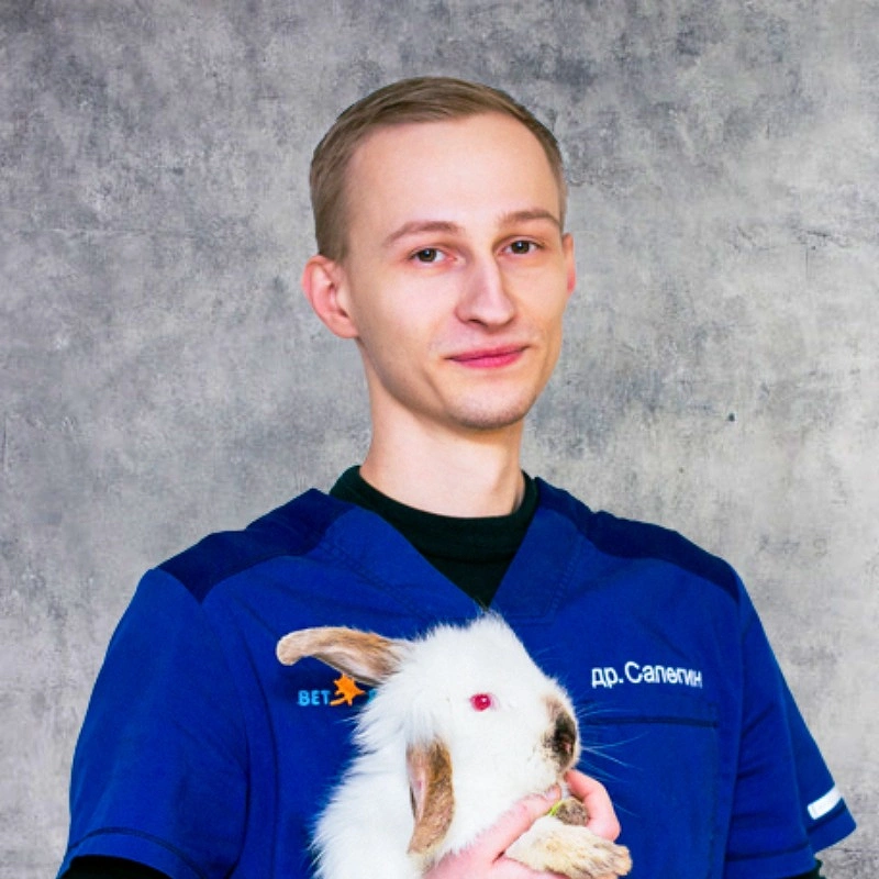 Фото Артём Дмитриевич Сапегин