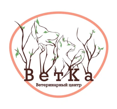 Фото организации Ветеринарный центр ВетКа